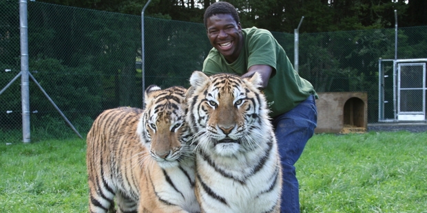 Dalu MnCube with two of the big cats at Zion Wildlife Gardens. Photo/File