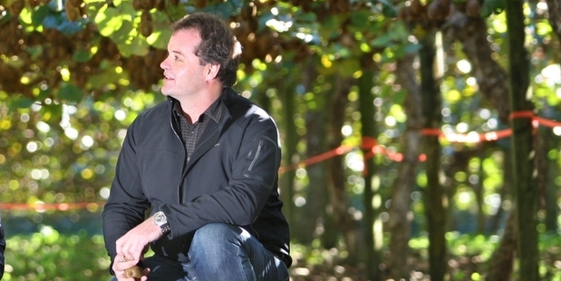 Steve Saunders is one of the Tauranga businessmen developing automated solutions for orchards with his PlusGroup company RoboticsPlus. Photo/File