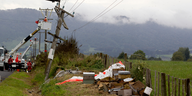 The scene at Te Poi near Matamata were a man crashed his truck into a power pole and died while transporting beehives. Photo / Christine Cornege
