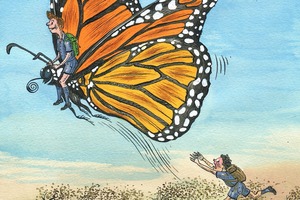 Illustration / Anna Crichton