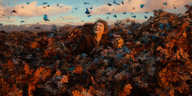 Martin Freeman in The Hobbit: The Desolation of Smaug
