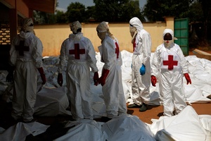 Red Cross employees stand amid dozens of bodies at the morgue in Bangui, Central African Republic. Photo / AP