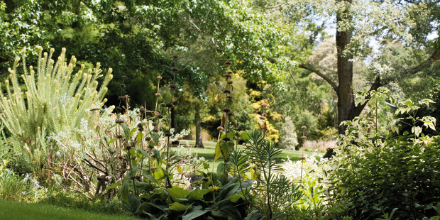 Ayrlies Garden in Whitford Auckland.
Photo / Jane Ussher.