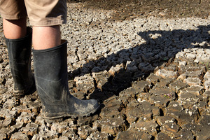 2013 began with the worst drought in 67 years. Photo / NZ Herald