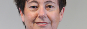 The councils chief executive Liz Lambert.