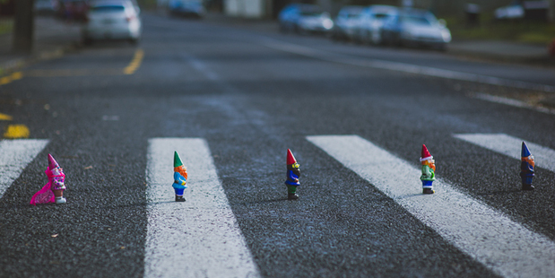 Some of the gnomes up for auction to raise costs for a new kitchen facility for the Devonport community garden centre.