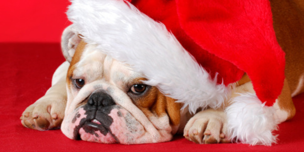 What makes you feel grumpy at Christmas?
Photo / Thinkstock