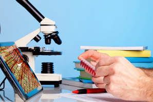 Photo / Thinkstock