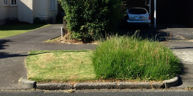 "Berm wars are getting serious in our street," says Ben. "No Christmas cheer offered by this lawnmower owner."