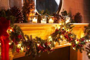 Photo / Thinkstock
