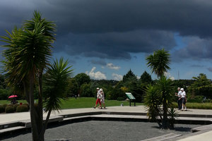 Sunshine and dark clouds at the Auckland Botanical gardens today. Photo / Adeline Lo