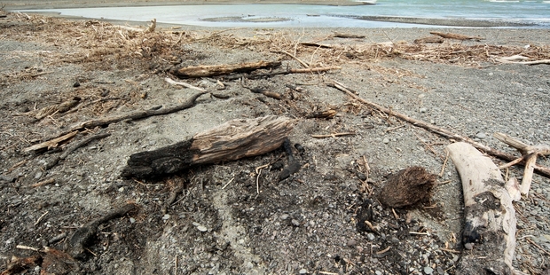 A 300sq m beach fire was illegally lit on Saturday night. Photo/Warren Buckland