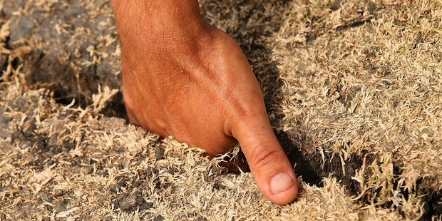A ground staff member places his hand in a crack on the WACA pitch. Photo / Getty Images