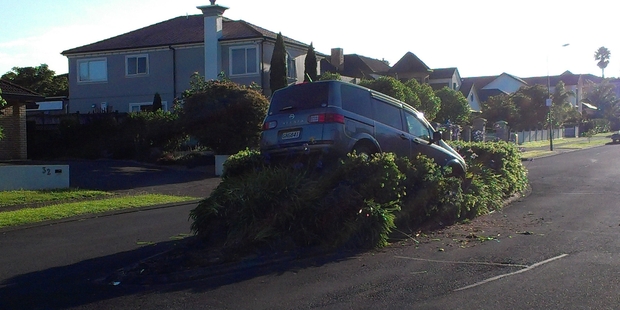The van drove on to the garden about 4am on Sunday.
