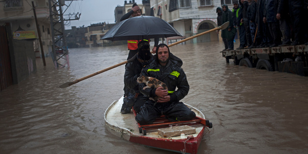 Palestinian rescue members evacuate a cat following heavy rains in Gaza City. Photo / AP