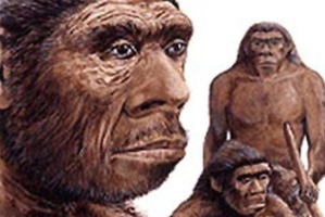 Neanderthal man as shown in The Natural History Museum, London. Photo / Creative Commons
