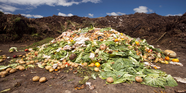 So much of the world's food is going in to landfill.
Photo / File