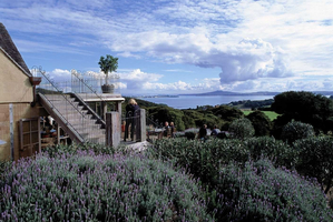Mudbrick Vineyard is one of several cellar doors on the island that comes with a great restaurant.