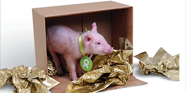Pick a quirky gift to give from the Oxfam Unwrapped collection.
