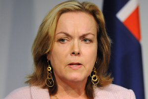 Ms Collins says the caucus and Cabinet will now consider the report before the bill goes to its second reading. Photo / NZPA