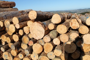 GOOD MONTH: The volume of New Zealand logs exported in November was up 17 per cent NZH/file