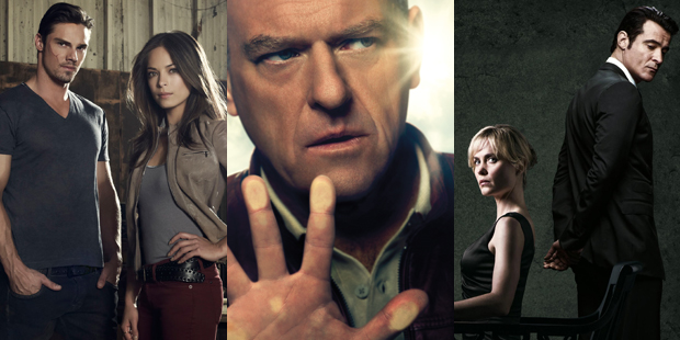 'Beauty and the Beast', 'Under The Dome' and 'Red Widow' receive dis-honourable mentions in this year's worst list.