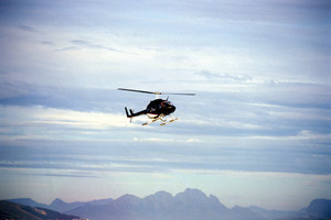 Photo / Thinkstock
