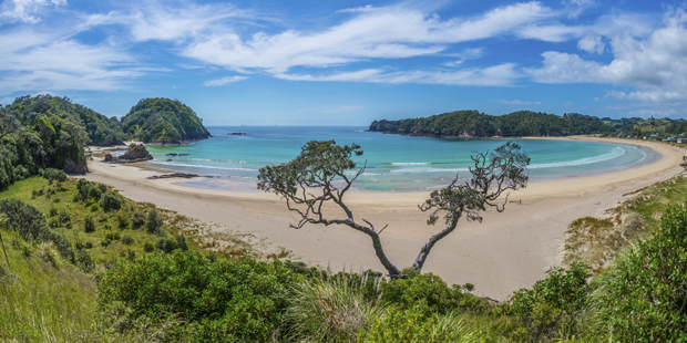 Northland's Matapouri Bay. Photo / Thinkstock