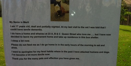 This note was left in the bus stop to explain the snoozing cat.