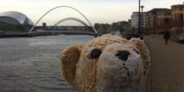 #lostbear's morning walk on the quayside. Beautiful day, tweeted Roar's finder, Lauren Bishop Vranch. Photo / Twitter