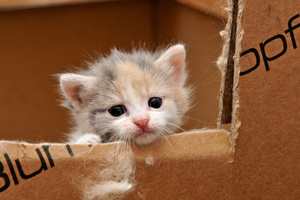 File photo / Thinkstock