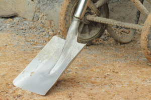 Photo / File / Thinkstock