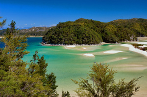 Abel Tasman