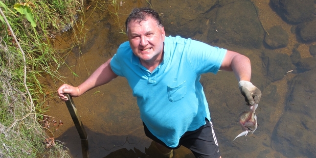 ANGRY: Labour list MP Shane Jones is disgusted by fishers who have been dumping snapper carcasses in his local stream. PHOTO/PETER DE GRAAF