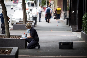 Police search for clues in Albert St.