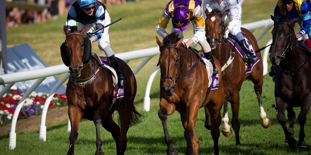 Historian (centre, yellow and purple) storms down the home straight to take out the Zabeel Classic yesterday. Photo/SPN