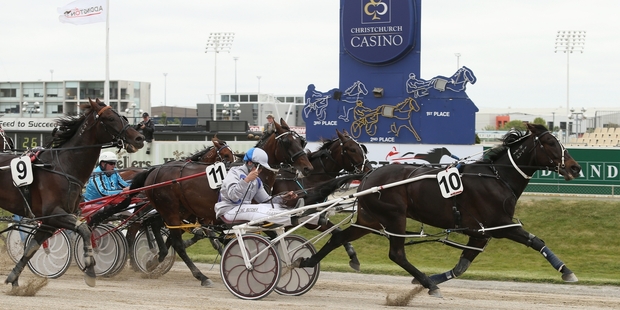 With a fast pace in the Manukau Cup today, Pembrook Benny could outstay his opponents. Photo / Getty Images