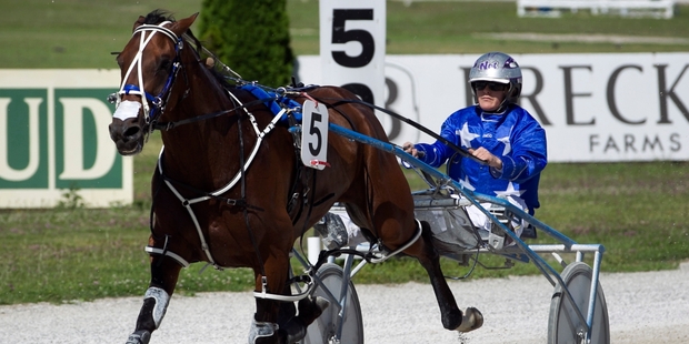 Isaiah is all alone winning the Sales Series Pace at Alexandra Park yesterday.Picture / Natalie Slade