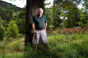 Cliff Heraud among kauri trees planted by the trust he started, says a visit to Tane Mahuta had a big impact on him. Photo / Alan Gibson