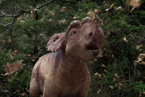 Patchi the Pachyrhinosaurus, the star of Walking with Dinosaurs 3D.