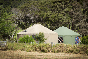 Miriama Kamo's Waiheke home isn't your usual bach.