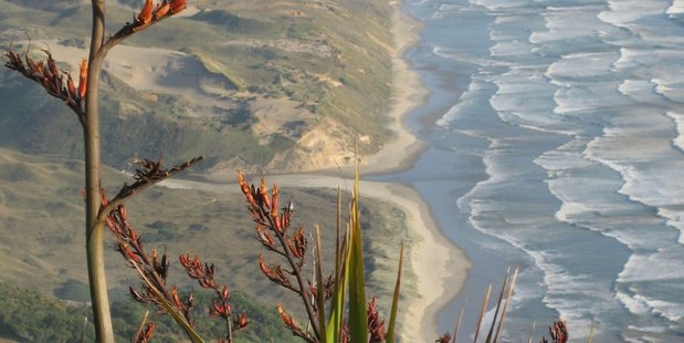 View from the top of Maunganui Bluff. Photo / Peter De Graaf