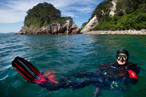 Darrell Bird, owner of Dive Zone Whitianga, relaxes in his "office" in the marine reserve near Hahei Beach. Photo / Alan Gibson