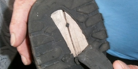 Wood you wear these boots, or return them? Photo / Supplied