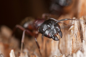 File photo / Thinkstock