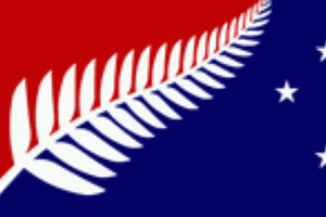 Charles Chauvel, who put forward the New Zealand Flag Bill in 2010, said the Government needed to address the issue. Photo / Supplied
