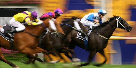 Mufhasa will return to Caulfield, where he won the 2011 Toorak Handicap (above), on Saturday. Photo / Getty Images
