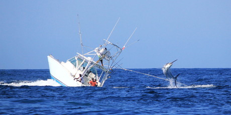 The crew brace themselves as the sports-fishing boat Abundancia starts to go under. Photo / www.West Coast Fishing Club.com