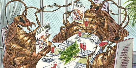 Illustration / Anna Crichton