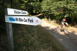 A man remains in a critical condition after an accident while mountain biking in Whakarewarewa Forest. Photo / Ben Fraser